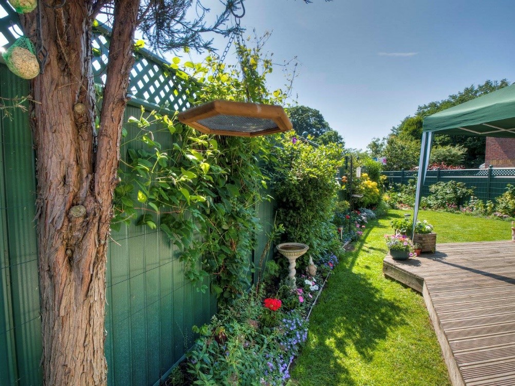 gorgeous green metal fence with climbing plants