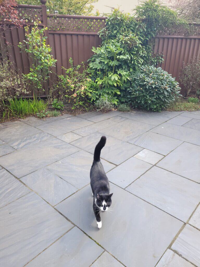 Cat perimeter fence hotsell