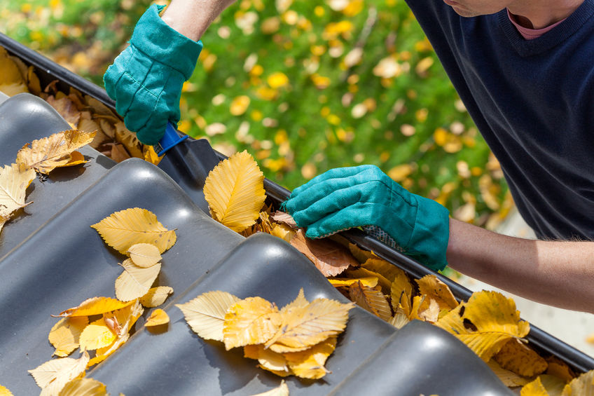 Man clearing out autumn garden leaves from gutter