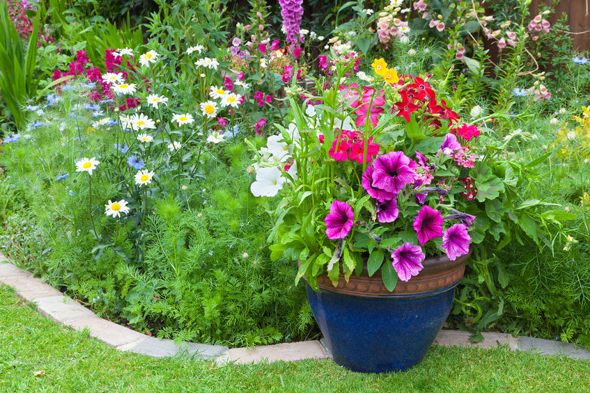 garden ready for summer holidays