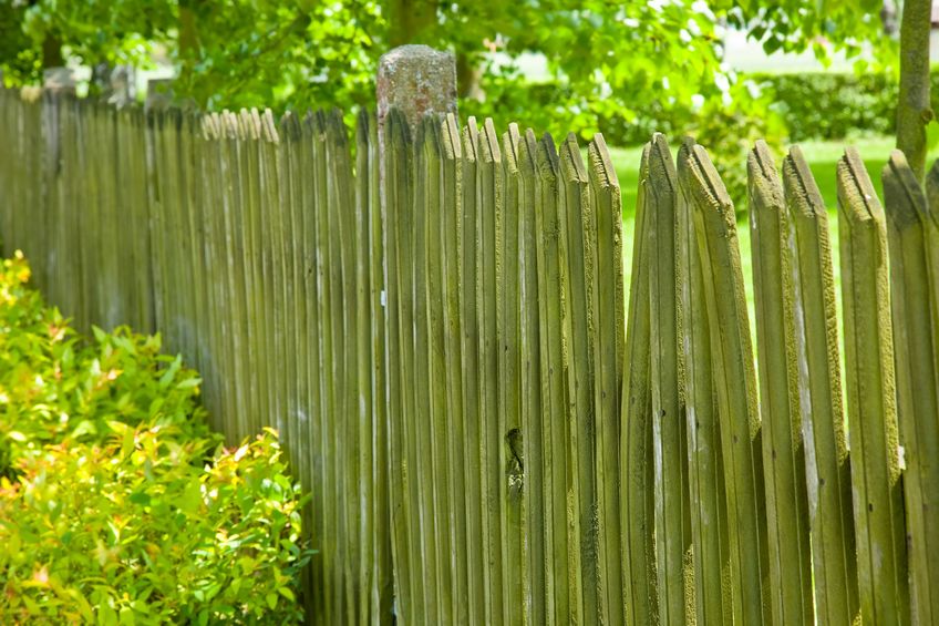 broken wooden fence