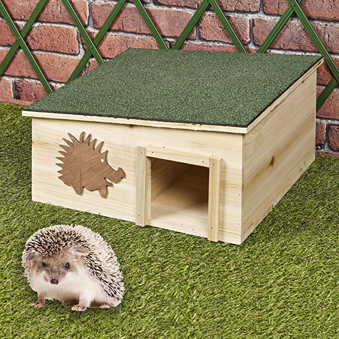 Helping Hedgehogs in Hot Weather