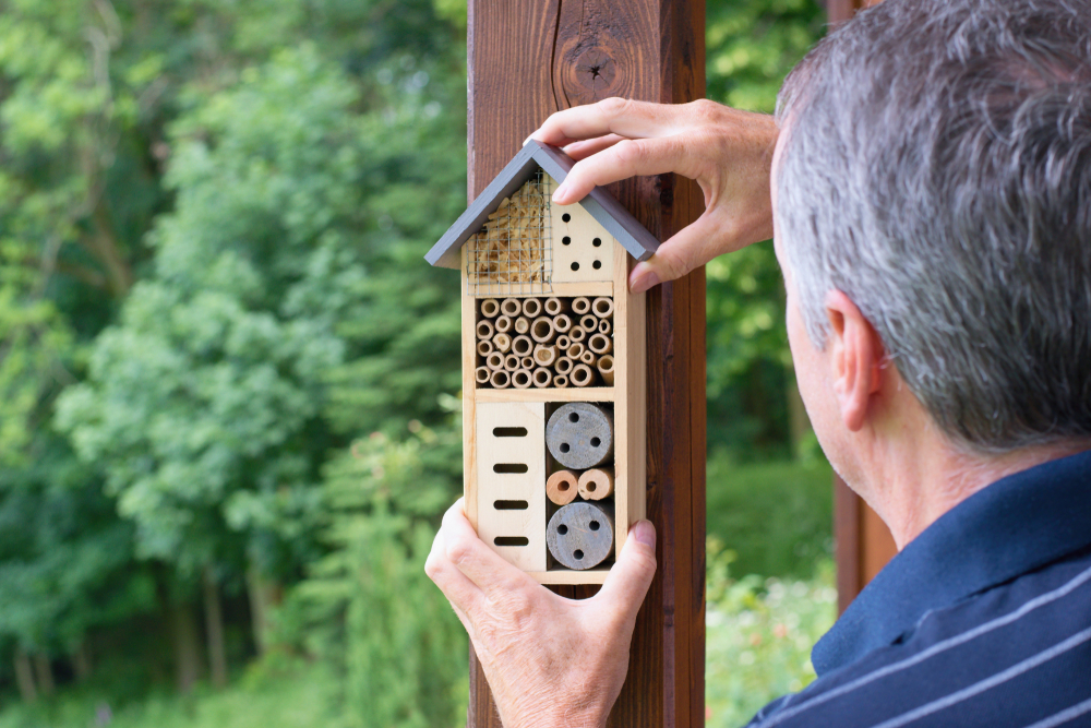 making your own bee hotel to help the bees