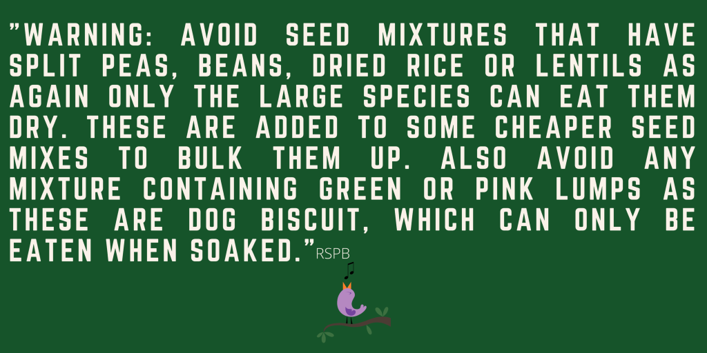 bird foods to avoid