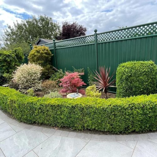 ColourFence-Green-Trellis