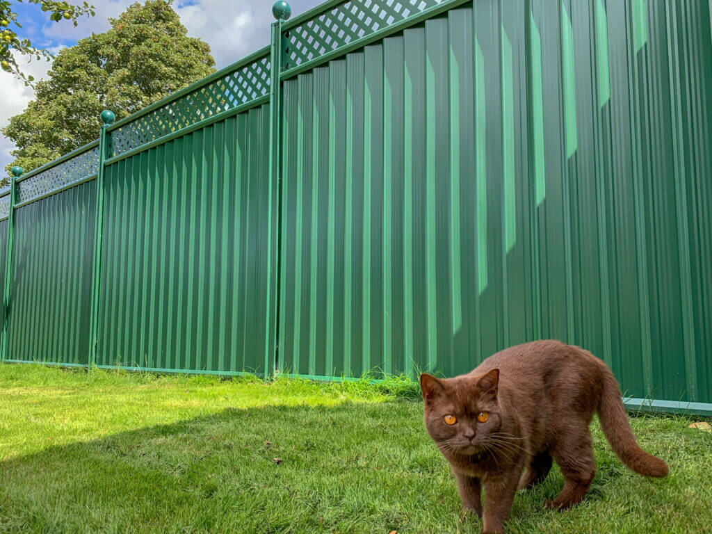 the best fence for cats