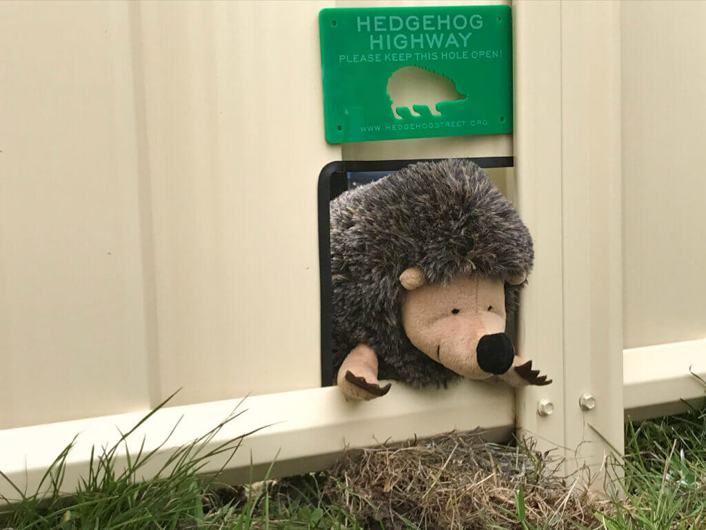 hedgehog highway sign
