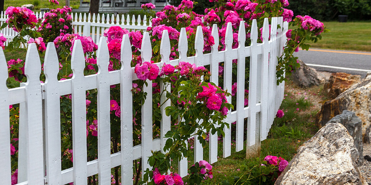 Front on sale garden fence