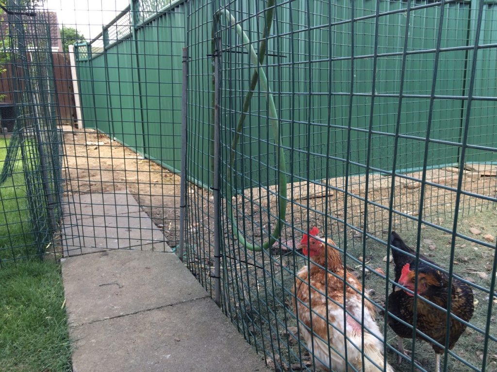 green ColourFence with chicken coup