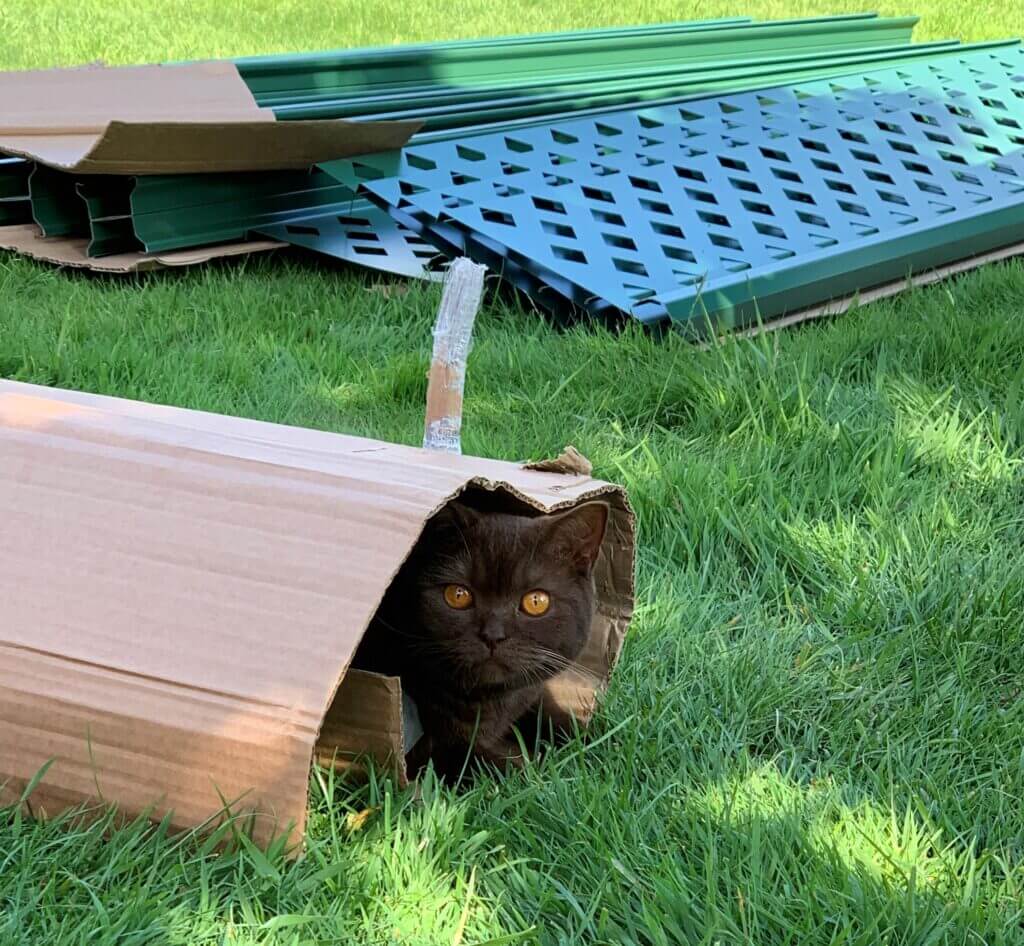 What’s the best fence for cats? ColourFence Limited