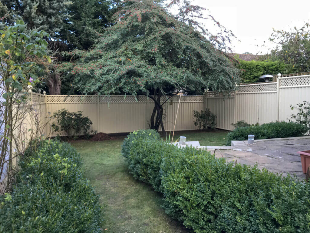 a tree on front of a cream fence 