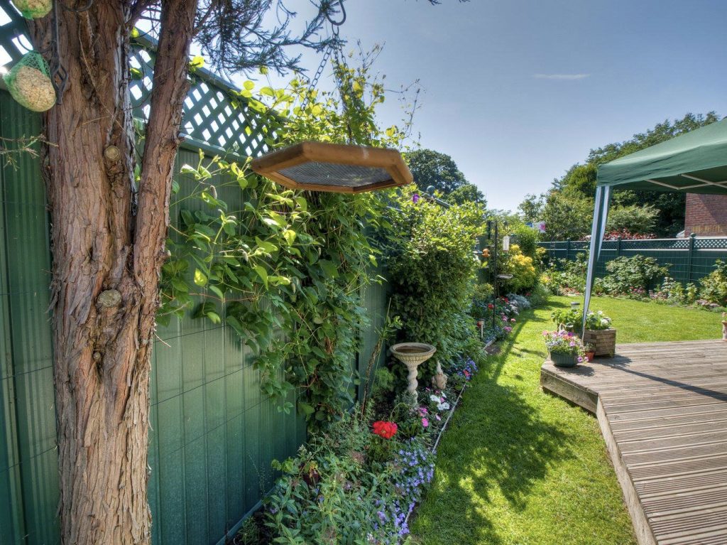 green colourfence with plants growing on trellis