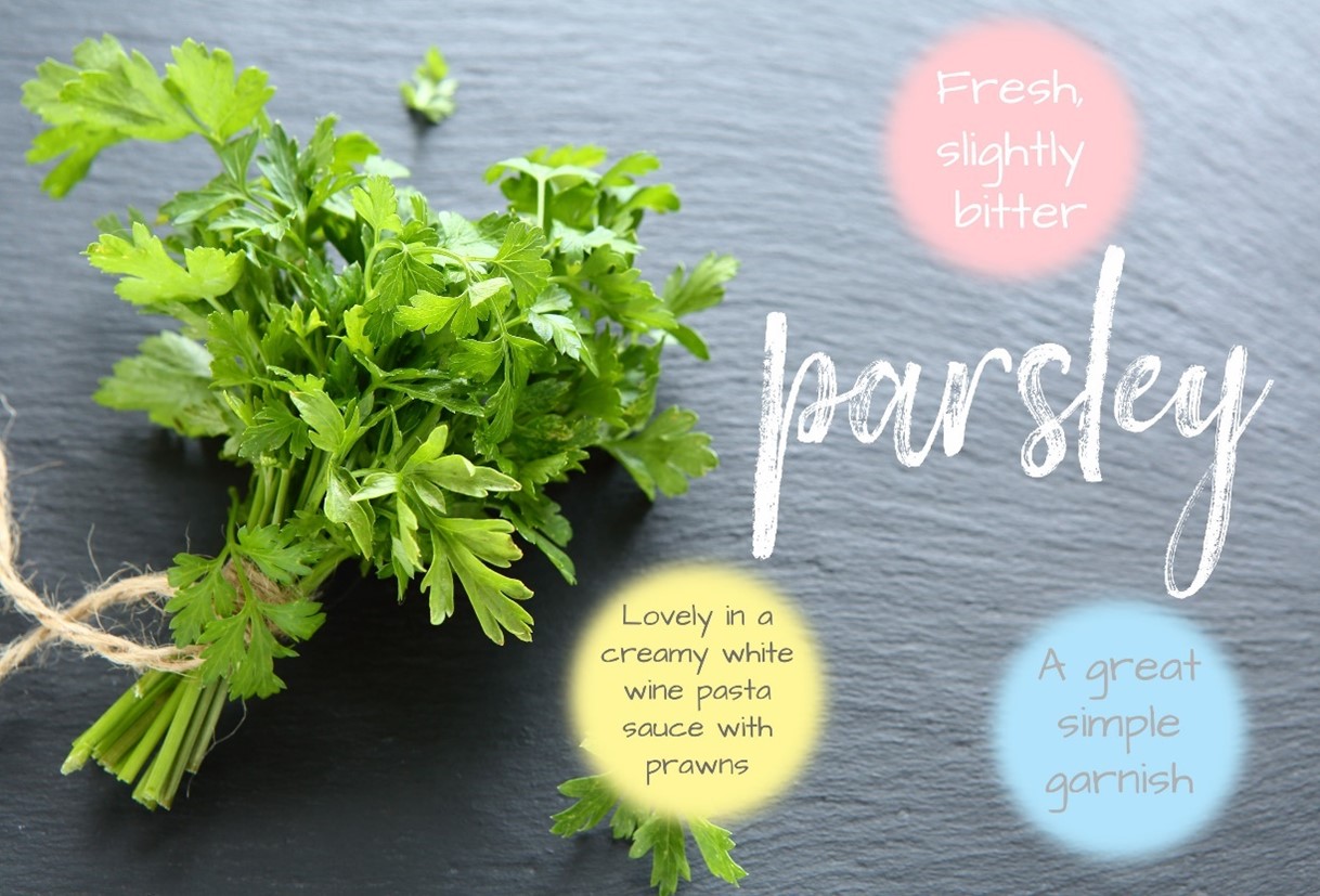 Growing Herbs at Home
