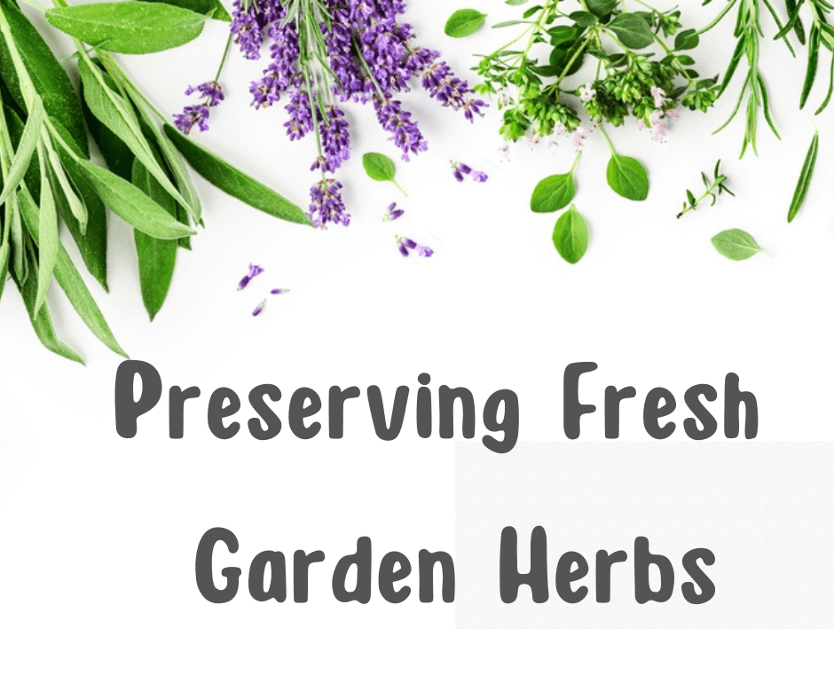 Preserving Fresh Garden Herbs