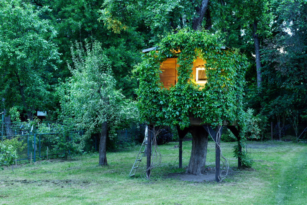 Treehouse wrapped in vines