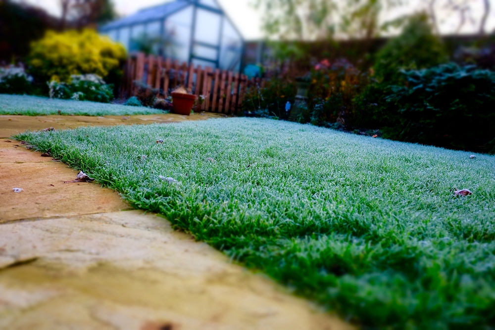 Protecting Plants in Winter OverWinter your Garden ColourFence Limited