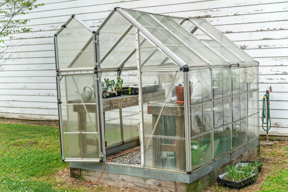 greenhouse