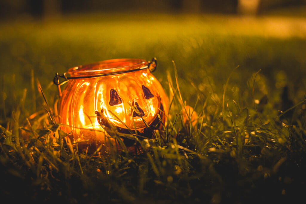 halloween lantern in garden grass stingy jack