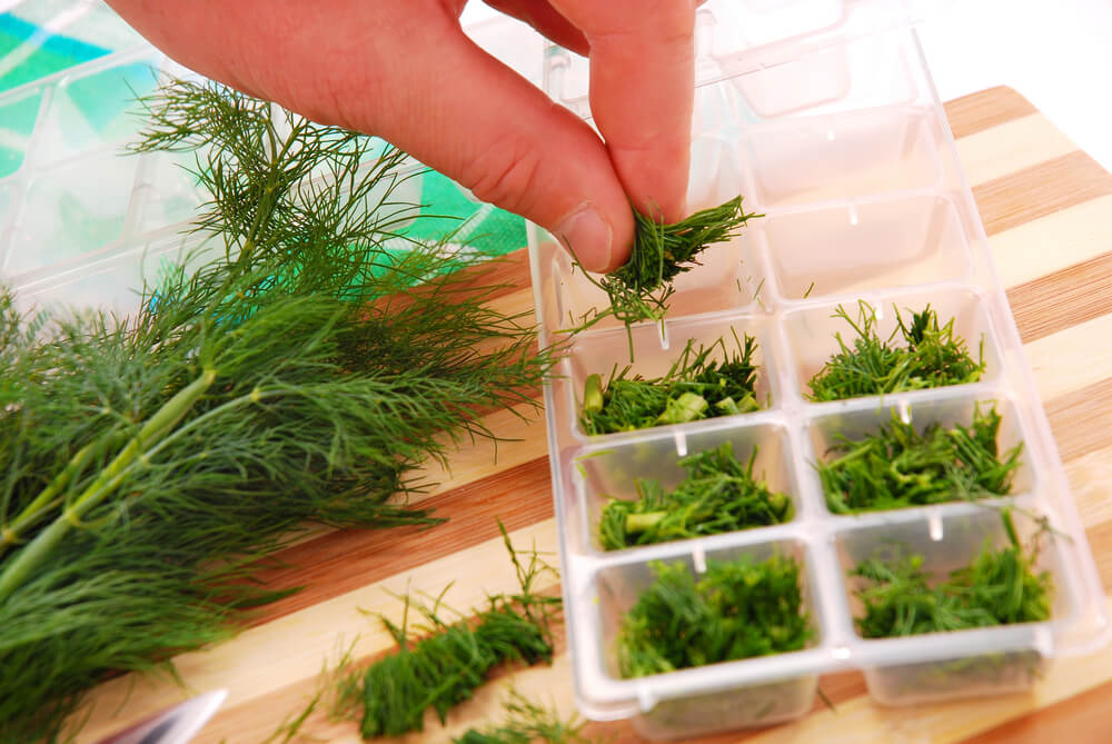 Freezing herbs