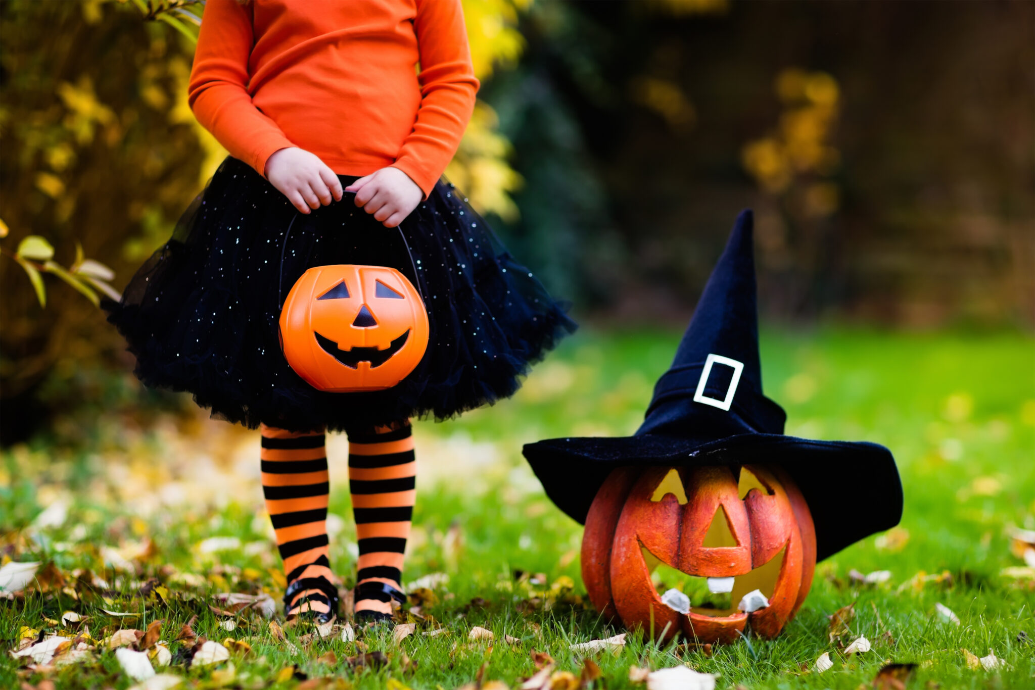 The story of Stingy Jack… & getting your garden Halloween ready!