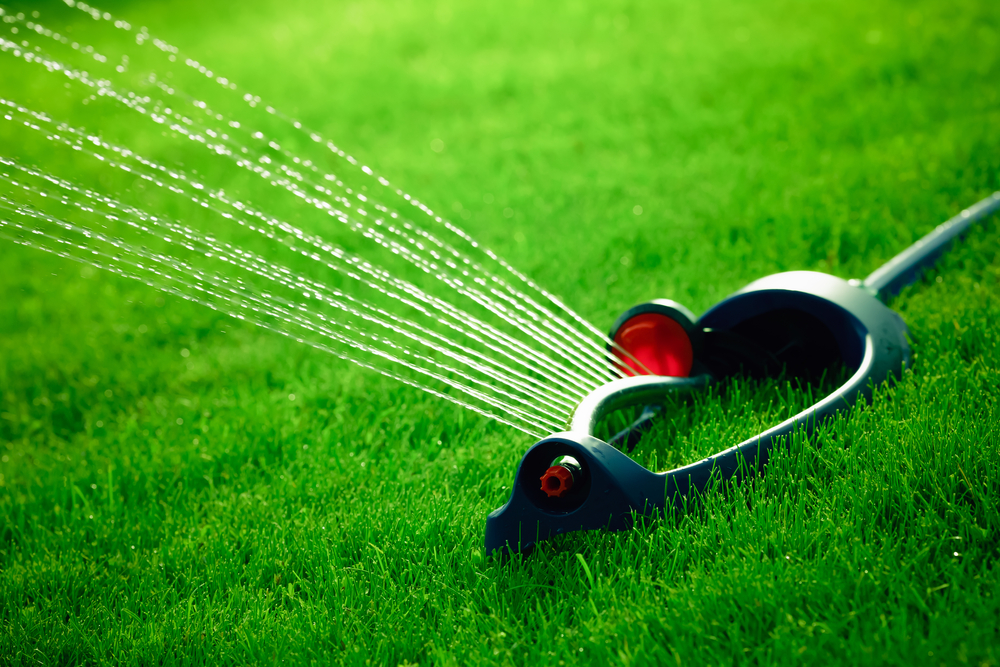 Caring for your Lawn in a Drought