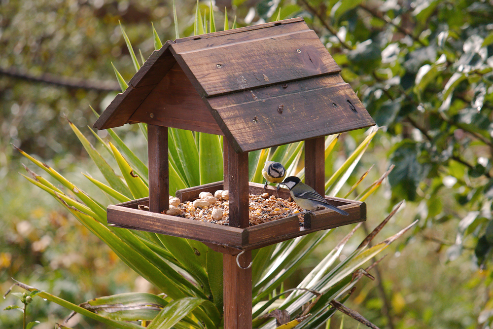 bird table