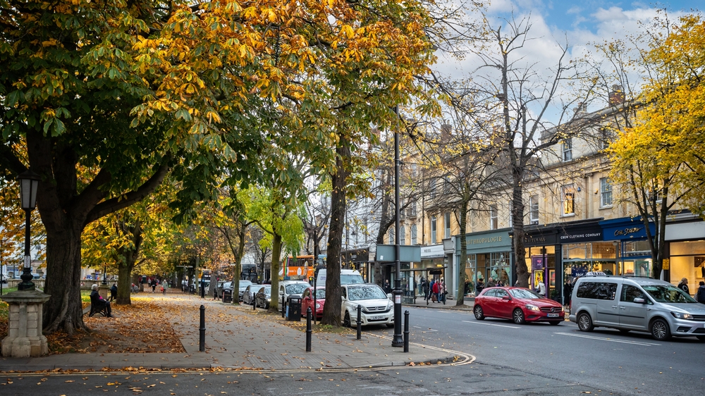 tree lined street