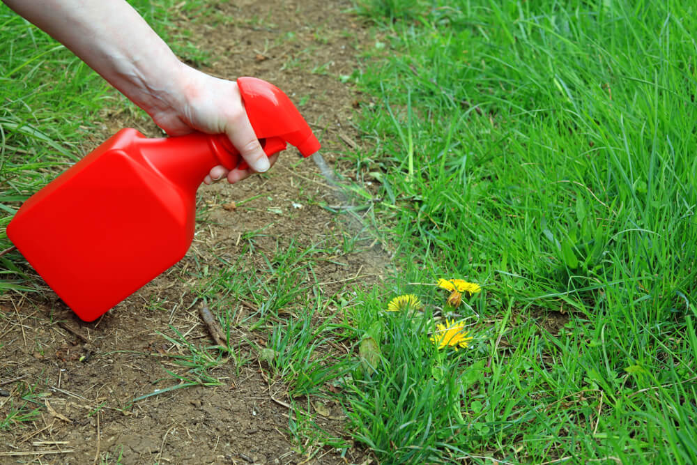 weedkiller spray